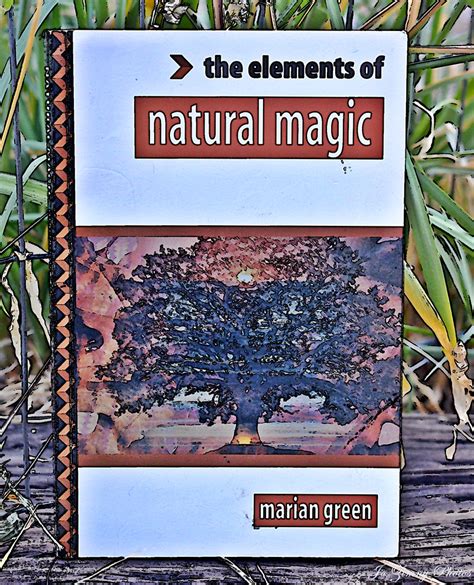 The Elemental Forces in Natural Magic